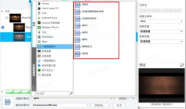 视频格式有哪些,全面了解不同格式特点与应用
