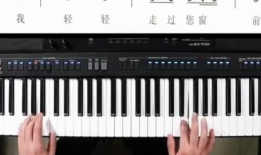 免费学电子琴视频教程,免费电子琴视频教程带你轻松上手